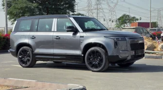 ROX ADAMAS VIP (Grey Purple)